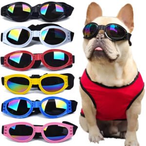 Gafas para perro